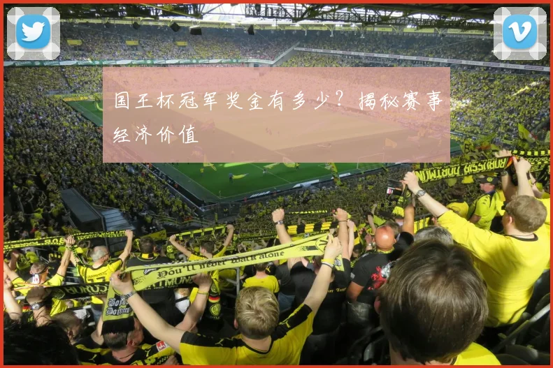 国王杯冠军奖金有多少？揭秘赛事经济价值